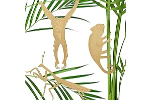 Plant Animal Decor: Charming Brass Adornments for Plant Enthusiasts