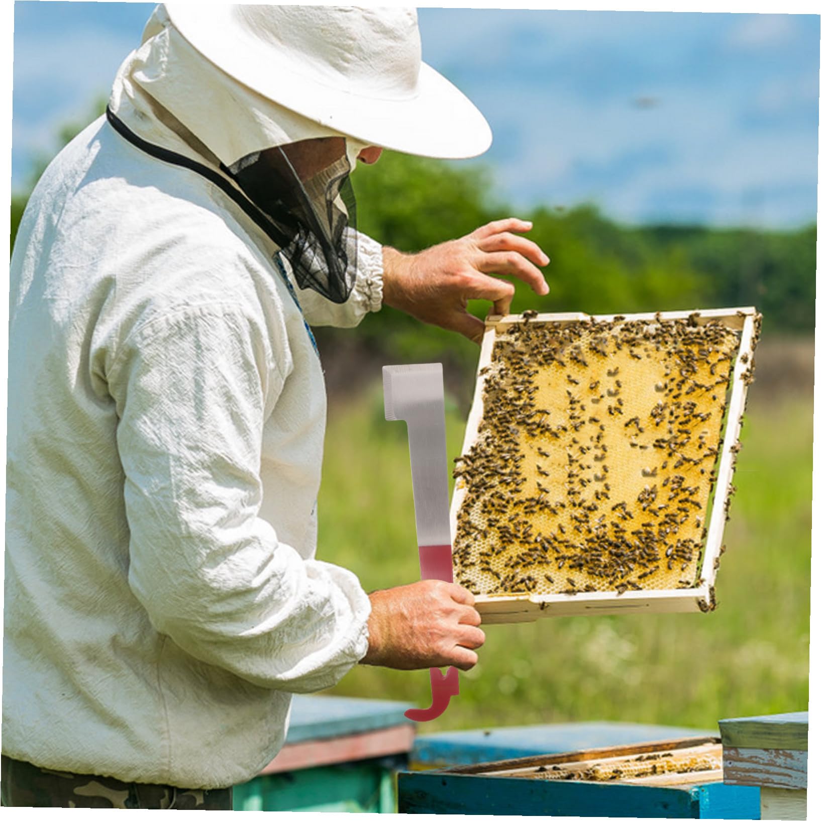 SUPVOX 5 Pièces Outils D'apiculture Cadre Kit D'apiculture