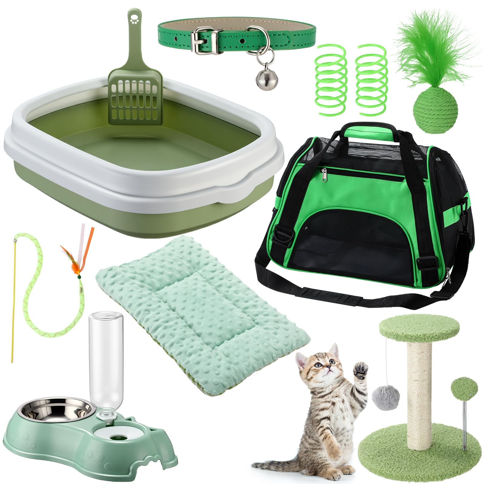 Eccliy Kitten Starter Kit, 10 Pcs Cat Starter Kit for Indoor Cats Kitten Essentials Includes Litter Box, Pet Toy, Folding Carrier, Climbing Frame, Mat