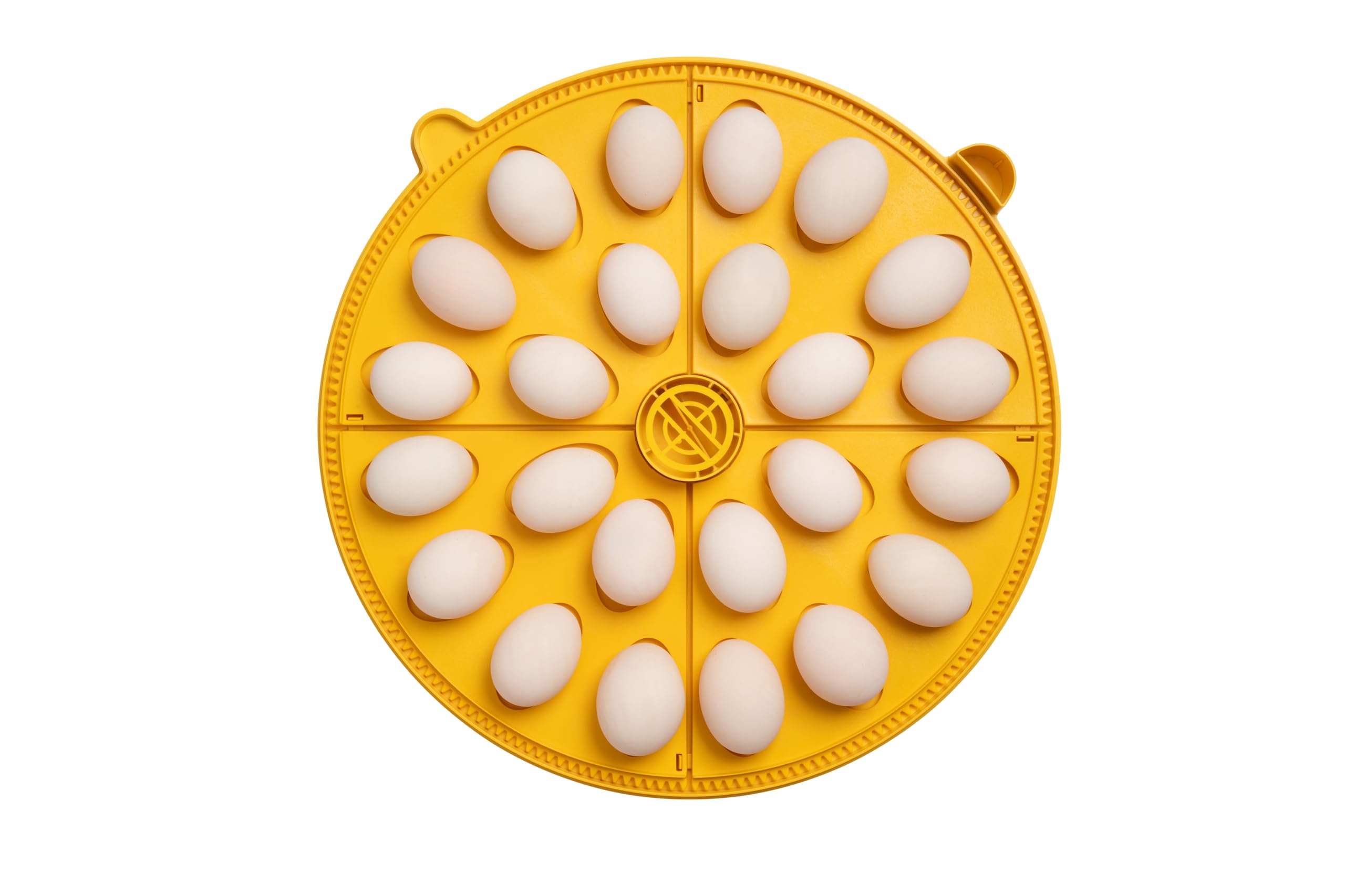 Incubadora BRINSEA Maxi 48 Advance - Incubadora para Huevos de Diferentes Especies de Ave - con volteo automático