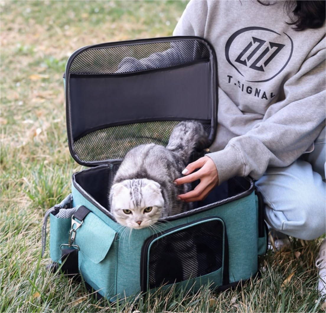 Rucksack Hundeautositz Hund Für Tragetasche Tragbarer Katzenrucksack Outdoor-Reise Haustiertaschen Für Kleine Hunde Atmungsaktiv Haustier(A)