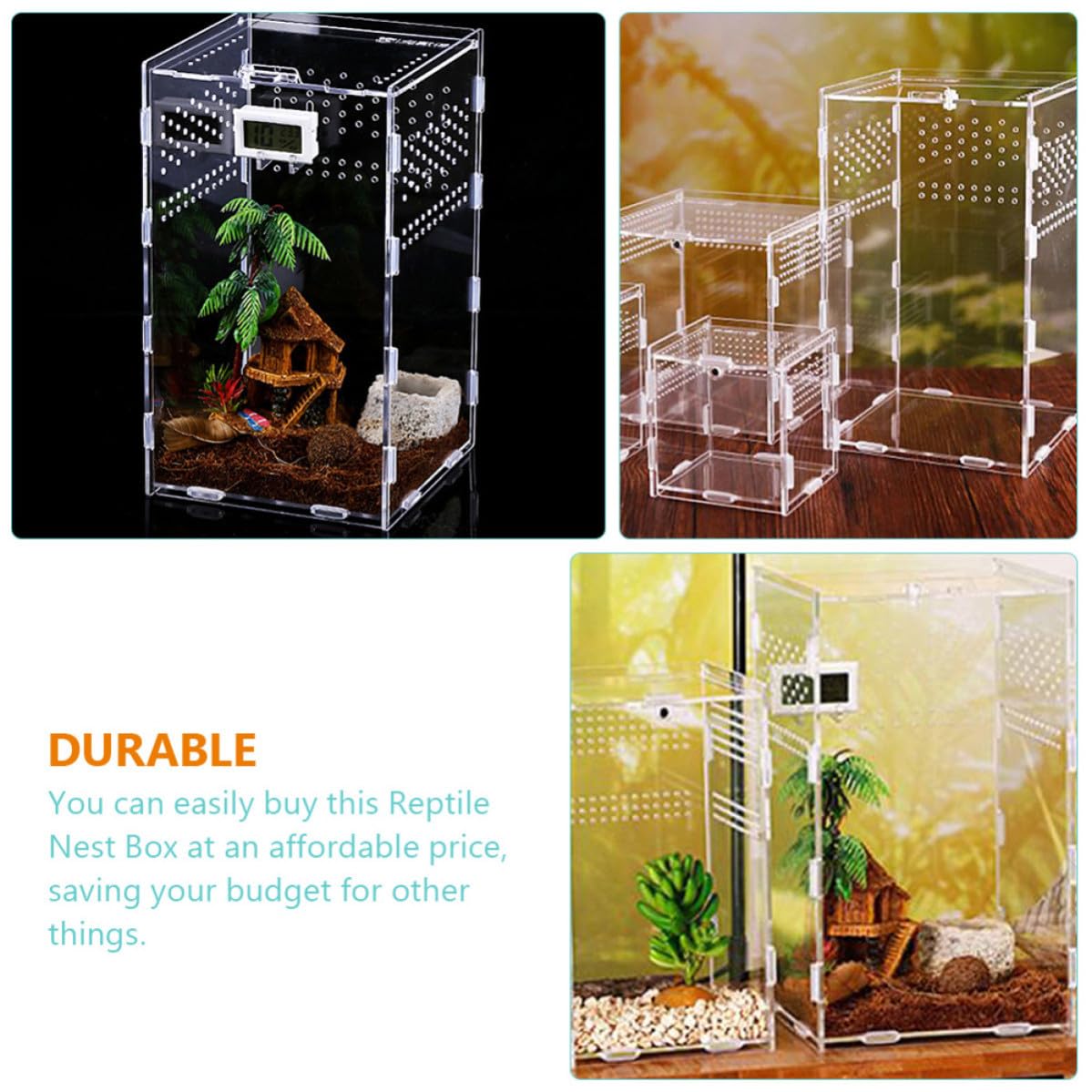 Caja de Acrílico Transparente para Reptiles, Cría y Exhibición
