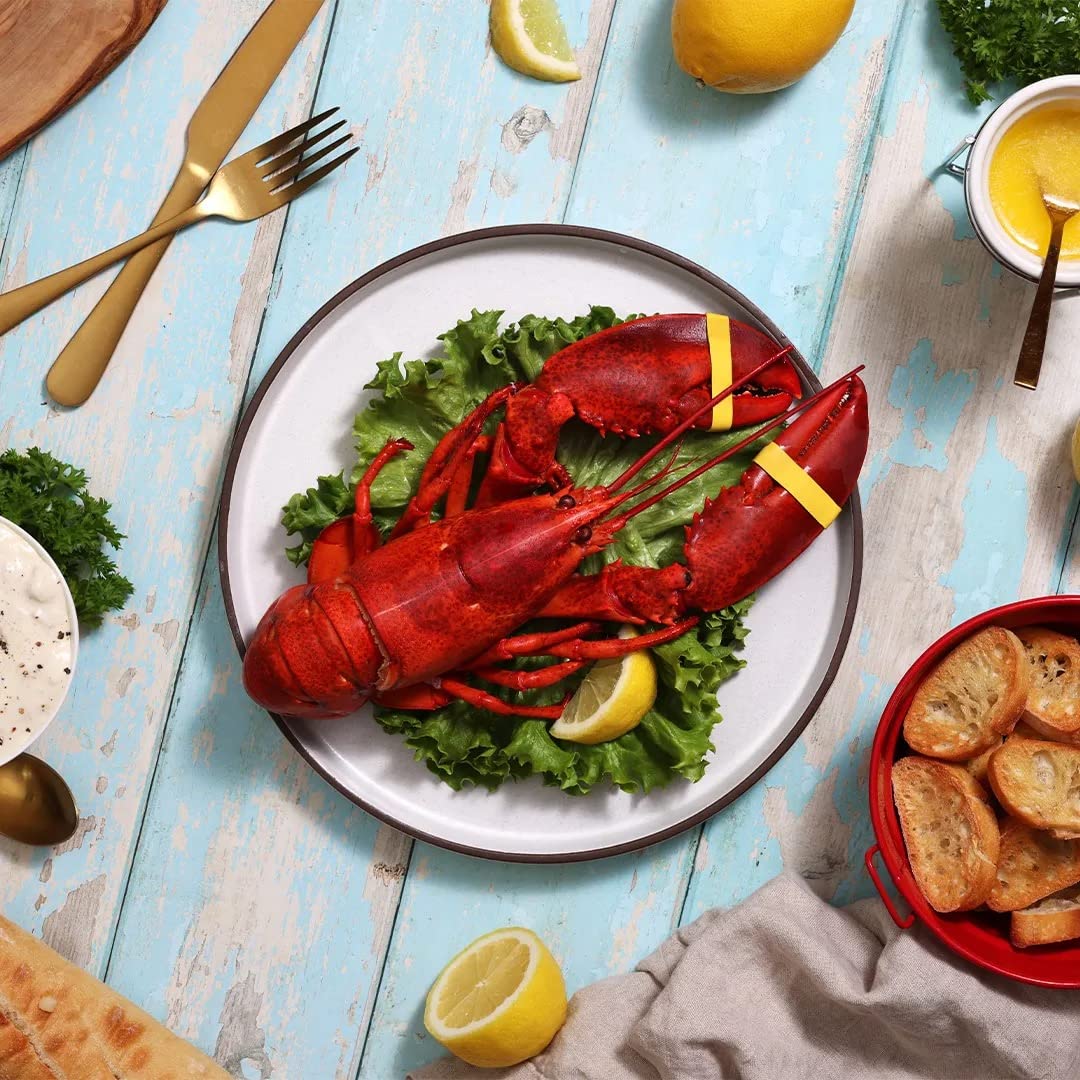 Maine Lobster Now: 1.25 LB Live Maine Lobster (8 Lobsters)