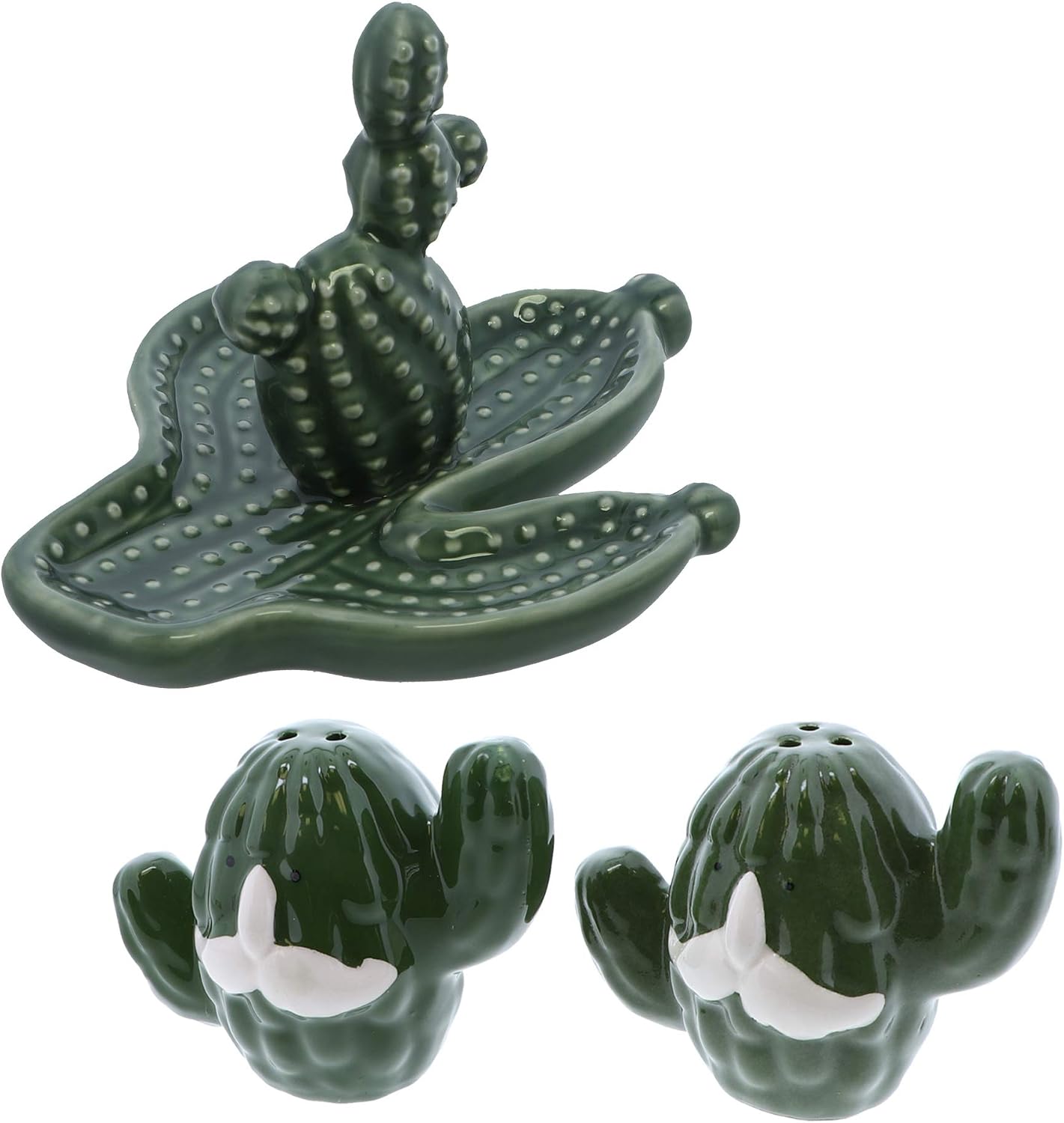 Cactus Gift Set Salt & Pepper Shakers and Ceramic Cactus Dish