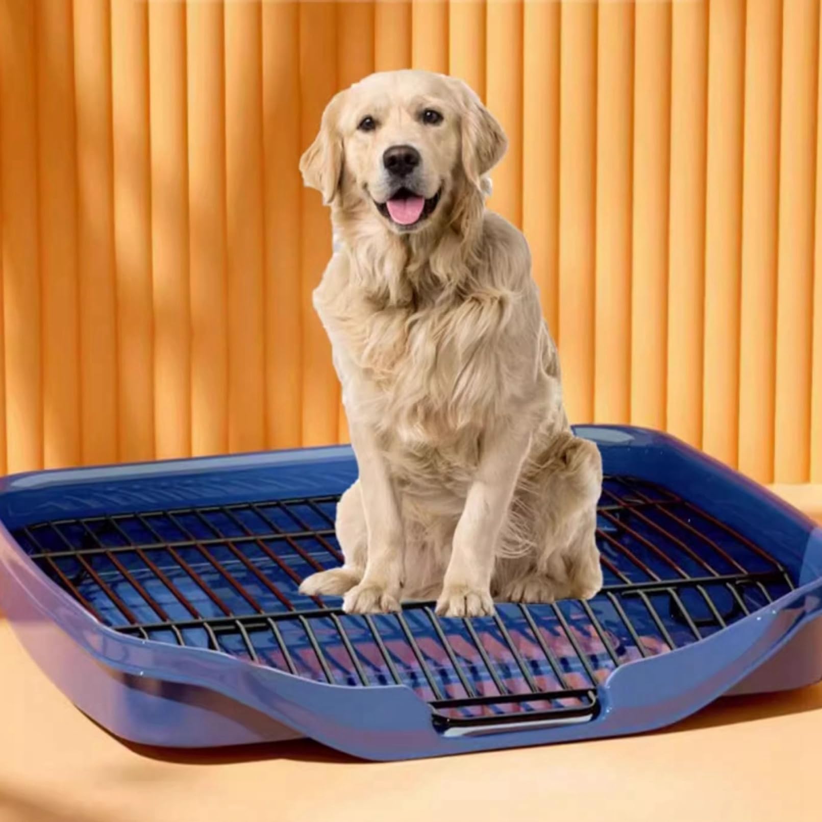 Amazon | 犬 トイレ 犬 トイレトレー ペット 犬用トイレ（42cm×111cm