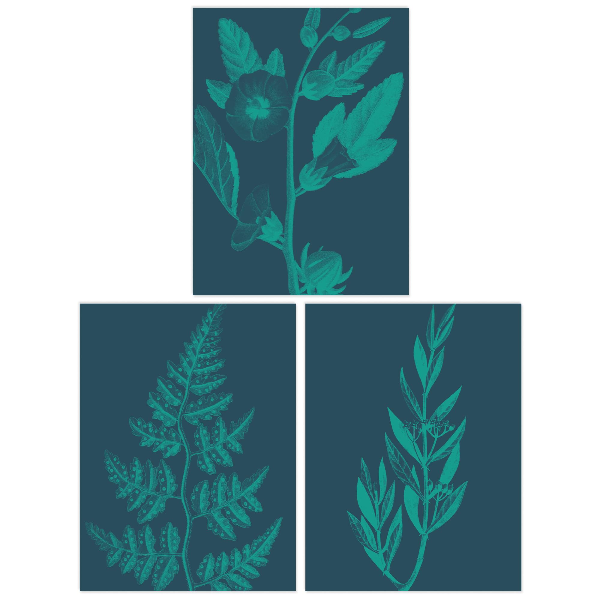 Wee Blue Coo Teal Turquoise Leaf - Set Of 3 Pack Of 3 A4 Teal Turquoise Leaves Plant Frond And Tree Blooms Botanical Unframed Wall Art Living Room Prints Set