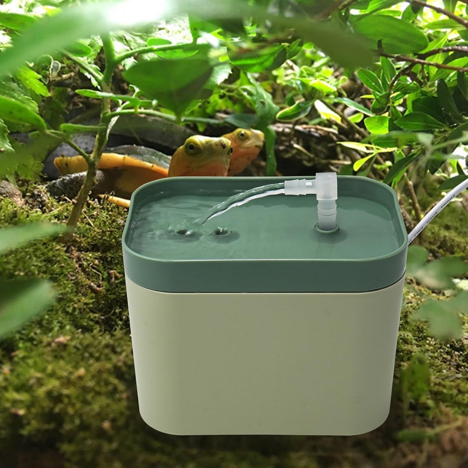 Dnoifne Fontana per Rettili con Sistema di Filtrazione - Ciotola Acqua Automatica per Draghi Barbuti, Geco, Camaleonti e Serpenti - Accessorio per Terrario con Cascata e Pompa Regolabile