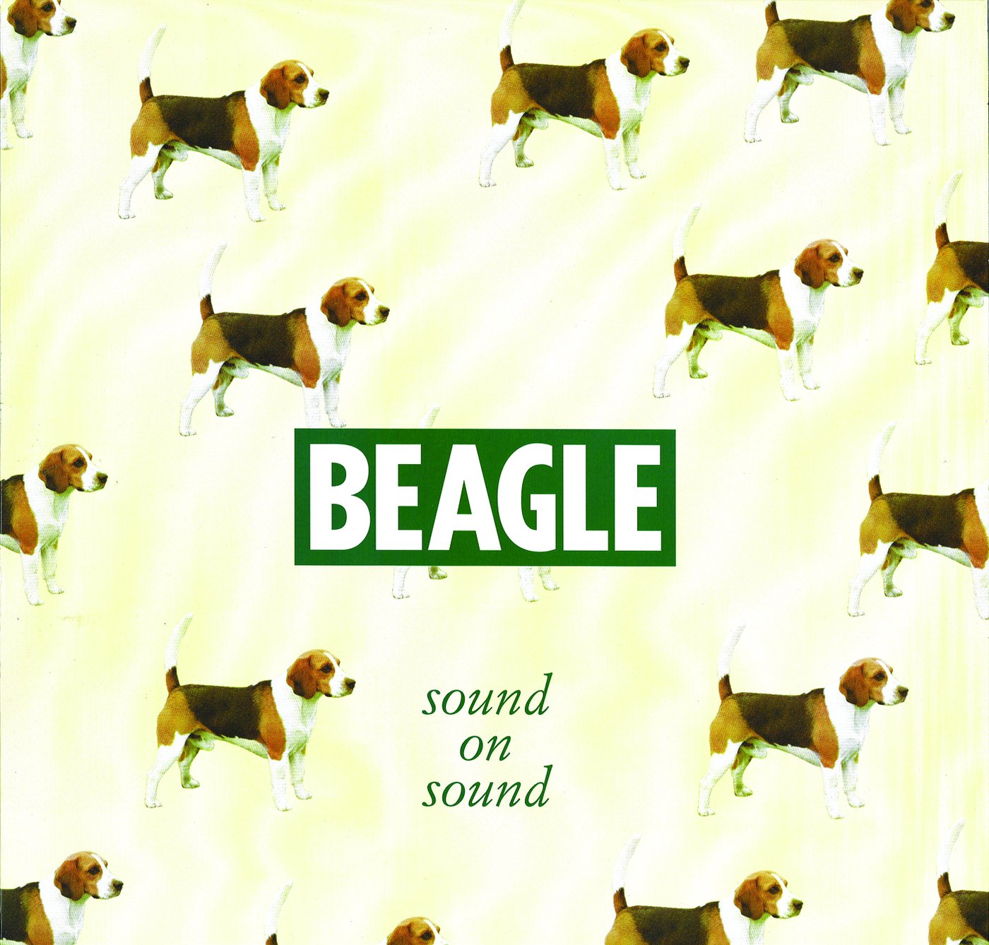 Beagle