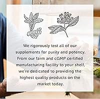 Vista 3 de Vegansafe B-12, Vegetarianas Vitamina B12 de Global Healing de GHCHealth, paquete de de 2, 1