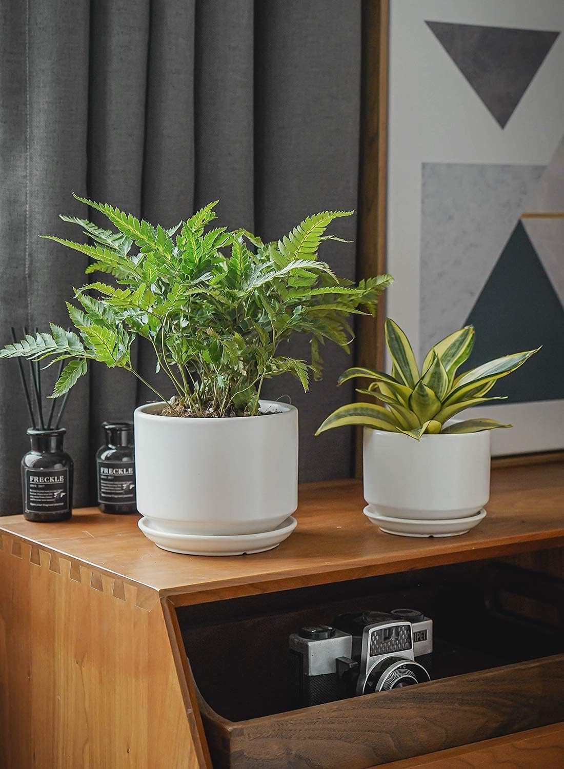 LE TAUCI Pot de Fleurs en Céramique 17 cm, Pot de Fleurs avec Soucoupe Intégrée et Trou de Drainage, Petit Cache-Pot Moderne, Robuste et Durable pour Décoration Maison et Bureau, Finition Mate, Blanc