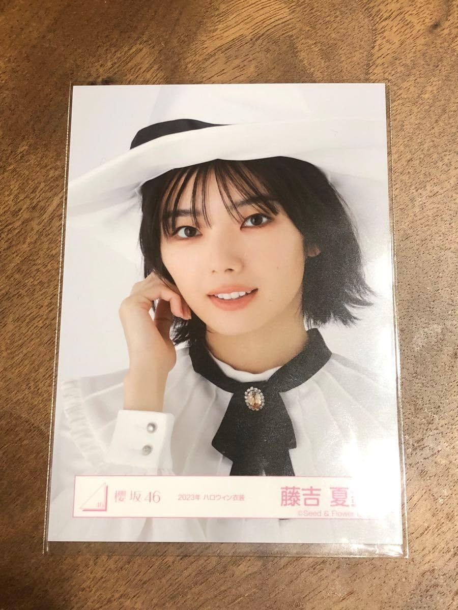 櫻坂46 生写真　藤吉夏鈴 櫻坂46新センターの藤吉夏鈴が初表紙で登場！ さらに、櫻坂46三