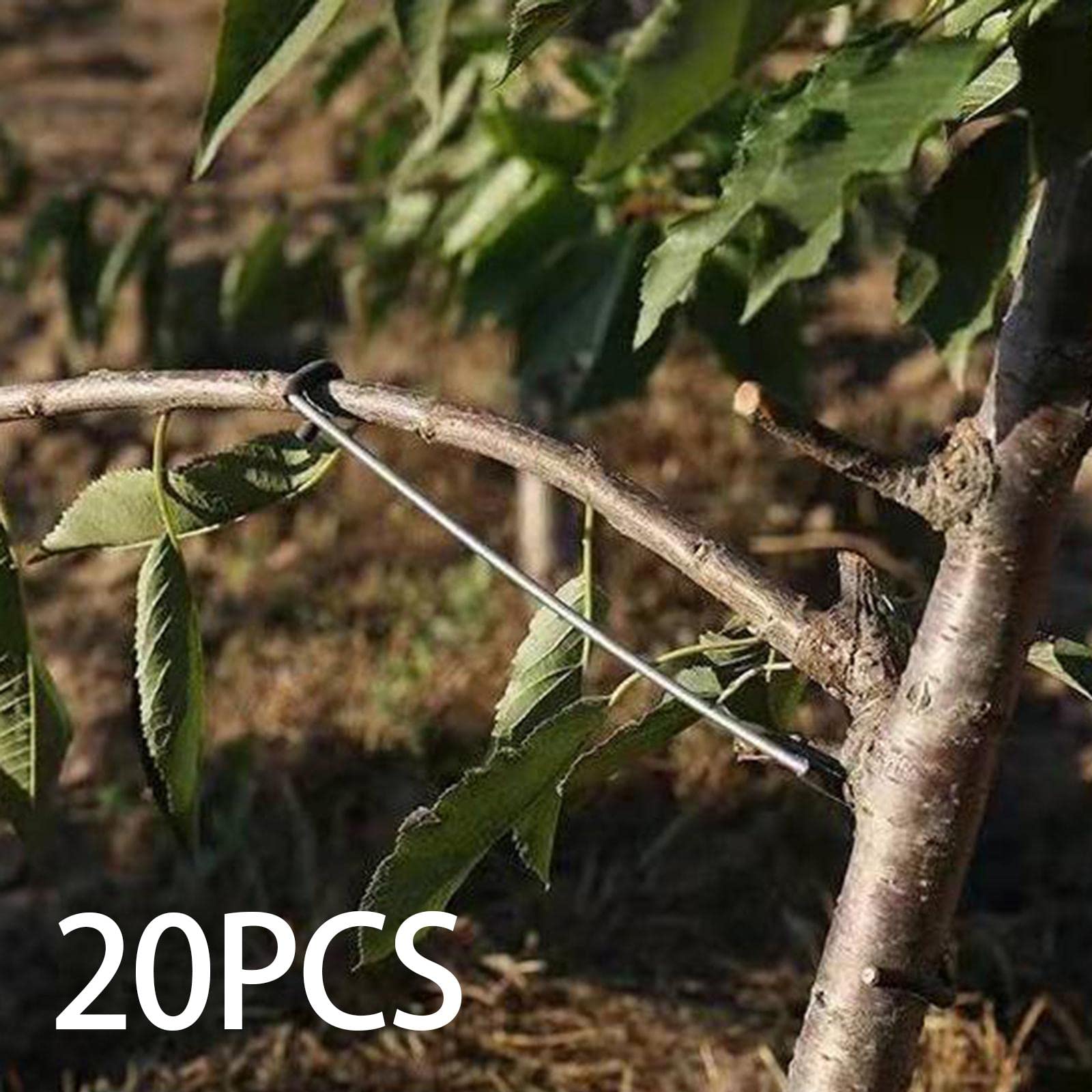 15 Estrattori Per Rami Da Frutta YDHfdc - A Forma Di M, 13cm Per Modellare Alberi - Foto 10