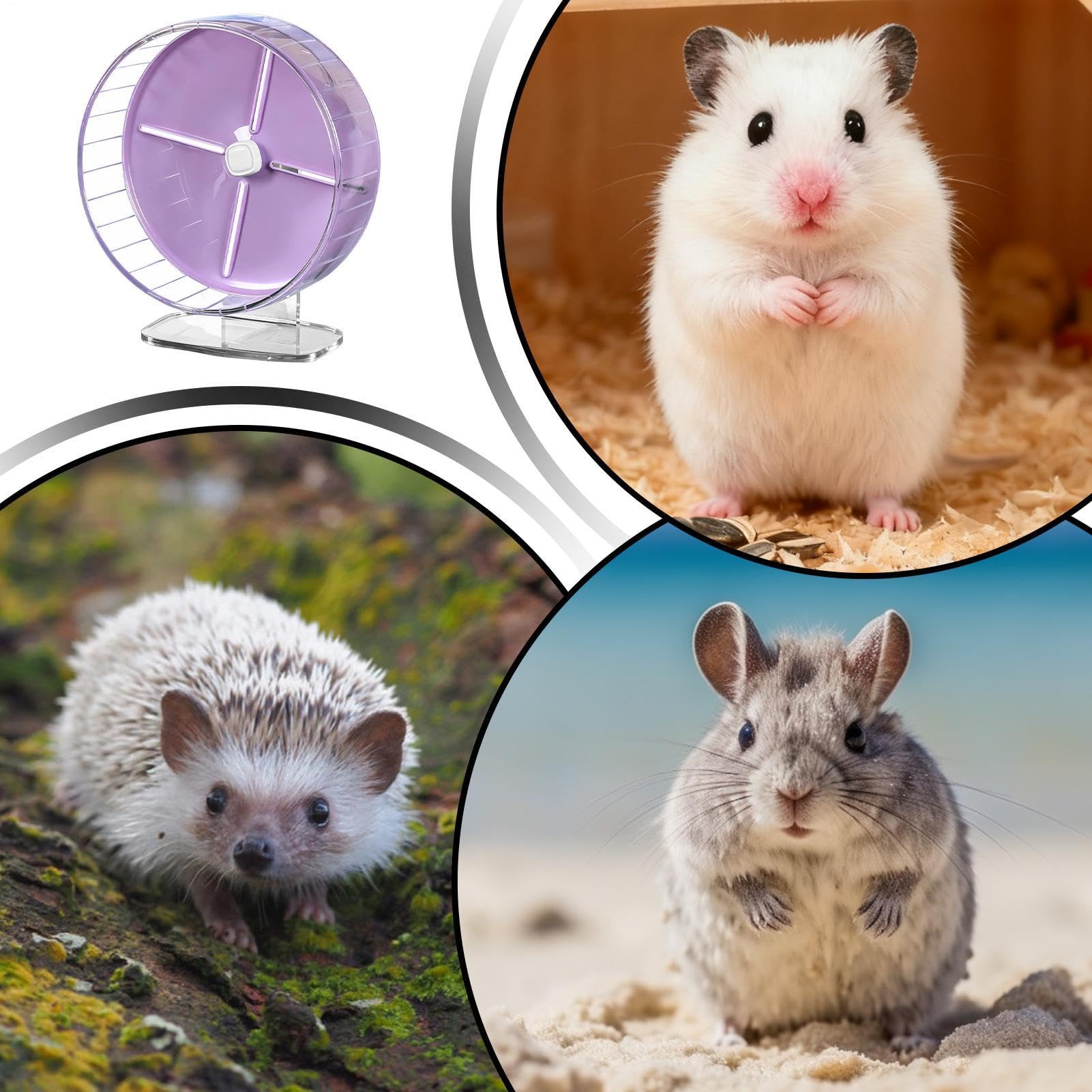 Roues d'exercice pour hamster 25,4 cm silencieuses, support réglable