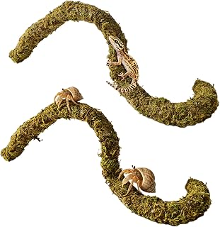 2PCS Leopard Gecko Climbing Toys Bendable Vine Tank Accessories for Lizard