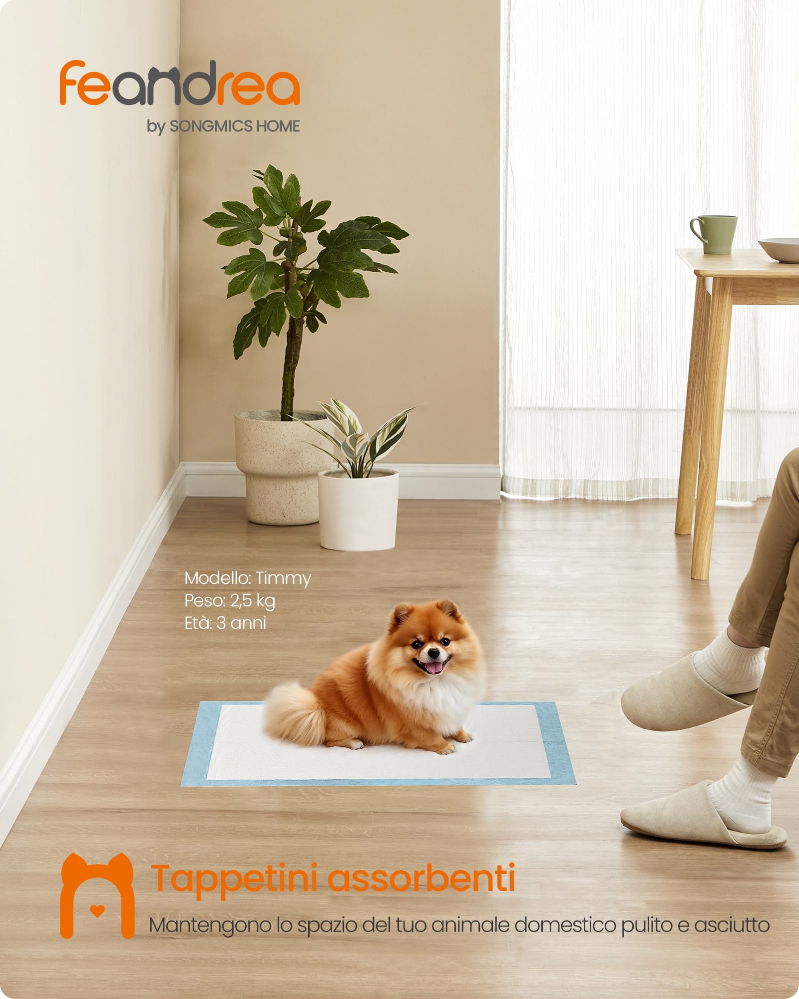 Feandrea Tappeti Assorbenti Pacco da 100 Pezzi, Tappeti per l'Addestramento per Cani e Cuccioli, a Prova di Perdite e Asciugatura Rapida, 60 x 45 cm, Blu e Bianco PTD046W01