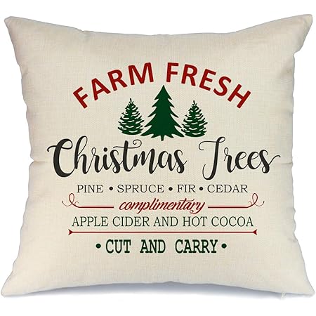 coxis support pillow