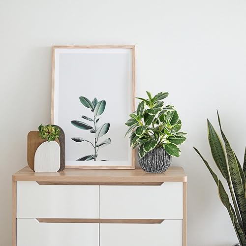 Miniatura 3 de Plantas artificiales para interiores y exteriores, planta de hoja de roble abigarrada sintética, plantas falsas en maceta, decoración artificial