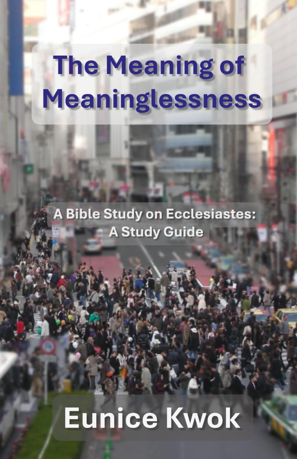 The Meaning of Meaninglessness: A Bible Study on Ecclesiastes: Study Guide
