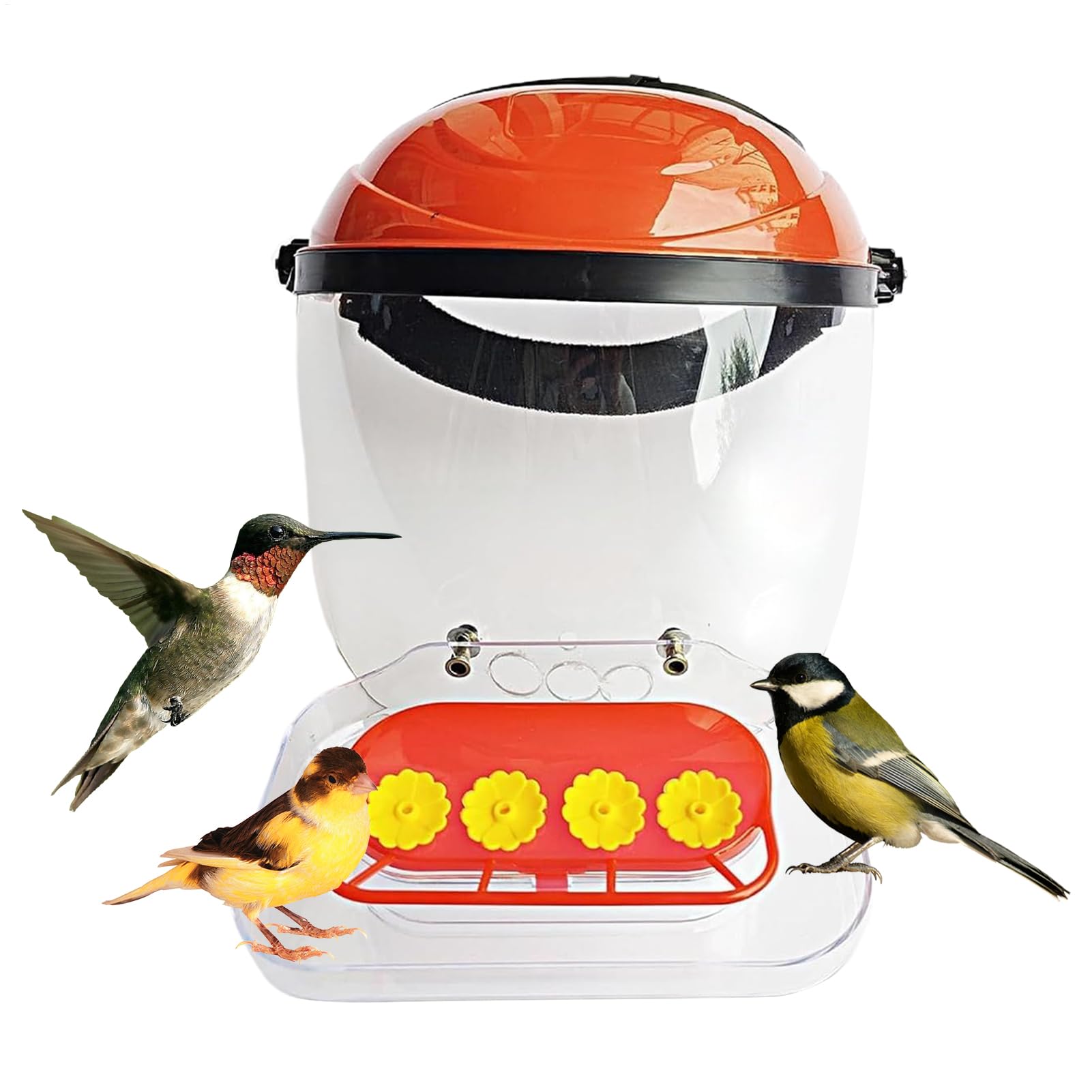 Chapeau pour colibris et accessoires pour nourrir les oiseaux au jardin