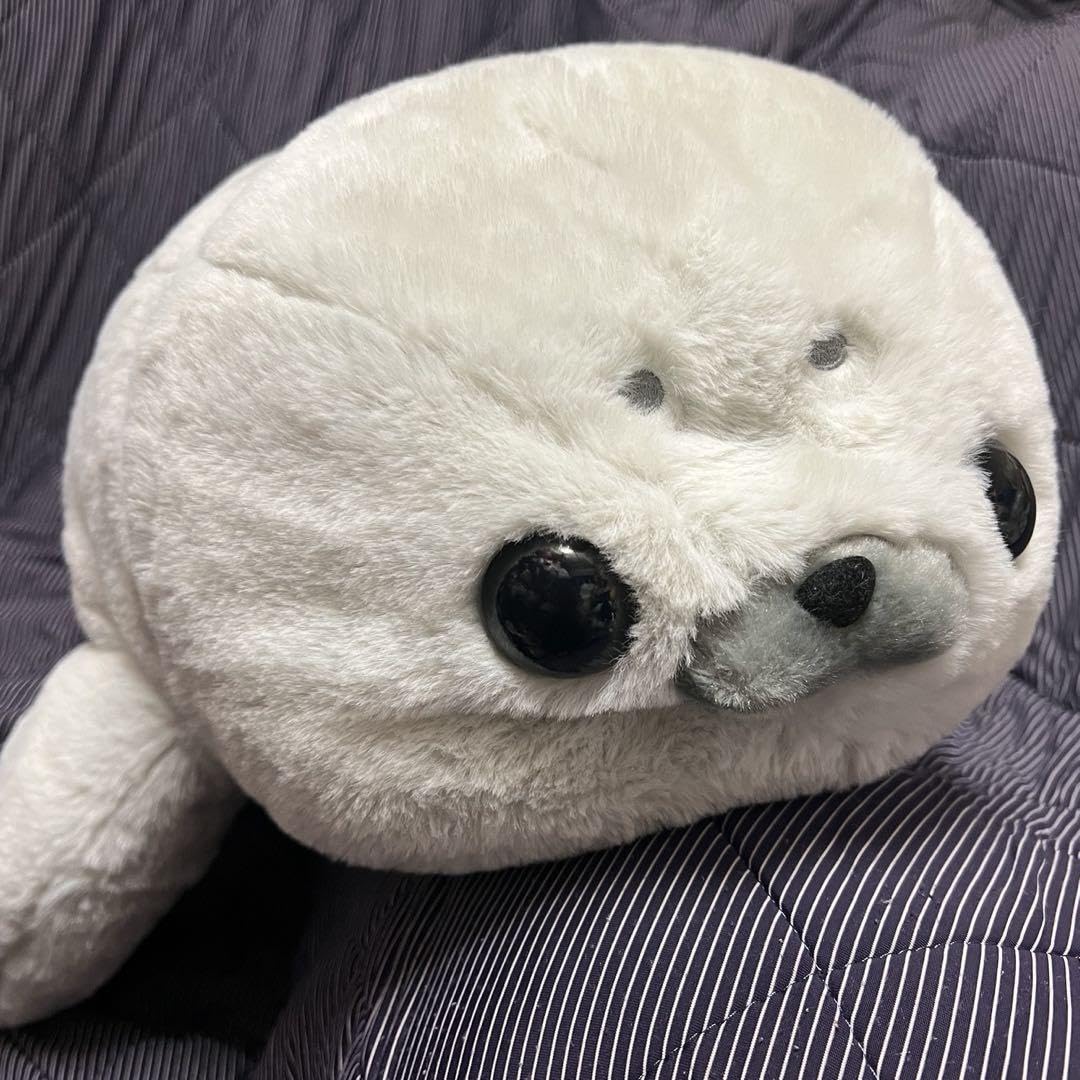 Amazon.co.jp: ほわほわアザラシちゃんごましおちゃん ビッグ
