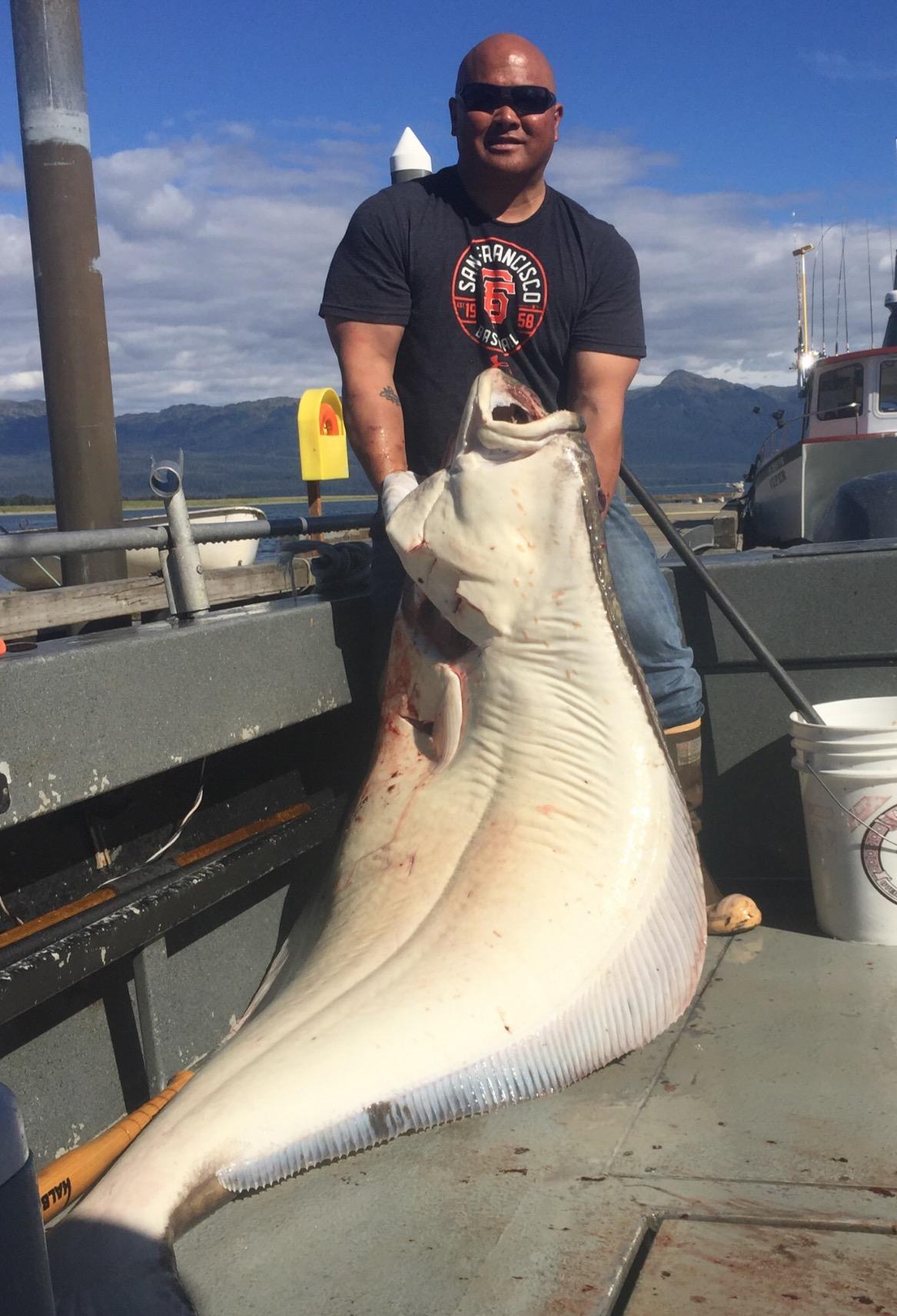 Aftco GAFF36BRWN Fiberglass Gaff Handle 6foot / 3inch Hook Fishing Gaffs