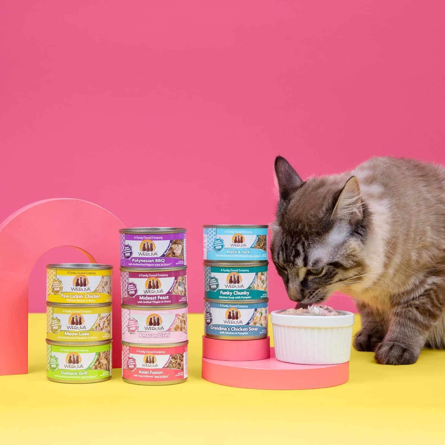 Huge Variety Pack for Weruva-Classic Cat Food - All 12 Flavors: Paw Lickin' Chicken, Grandma's Soup, Green Eggs & Chicken, Funky Chunky, Mack & Jack & More! (3oz Each, 12 cans Total)