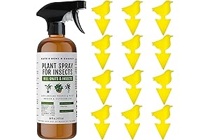Plant Spray Bottle: Gnat Killer, Fruit Fly Traps & Fly Spray