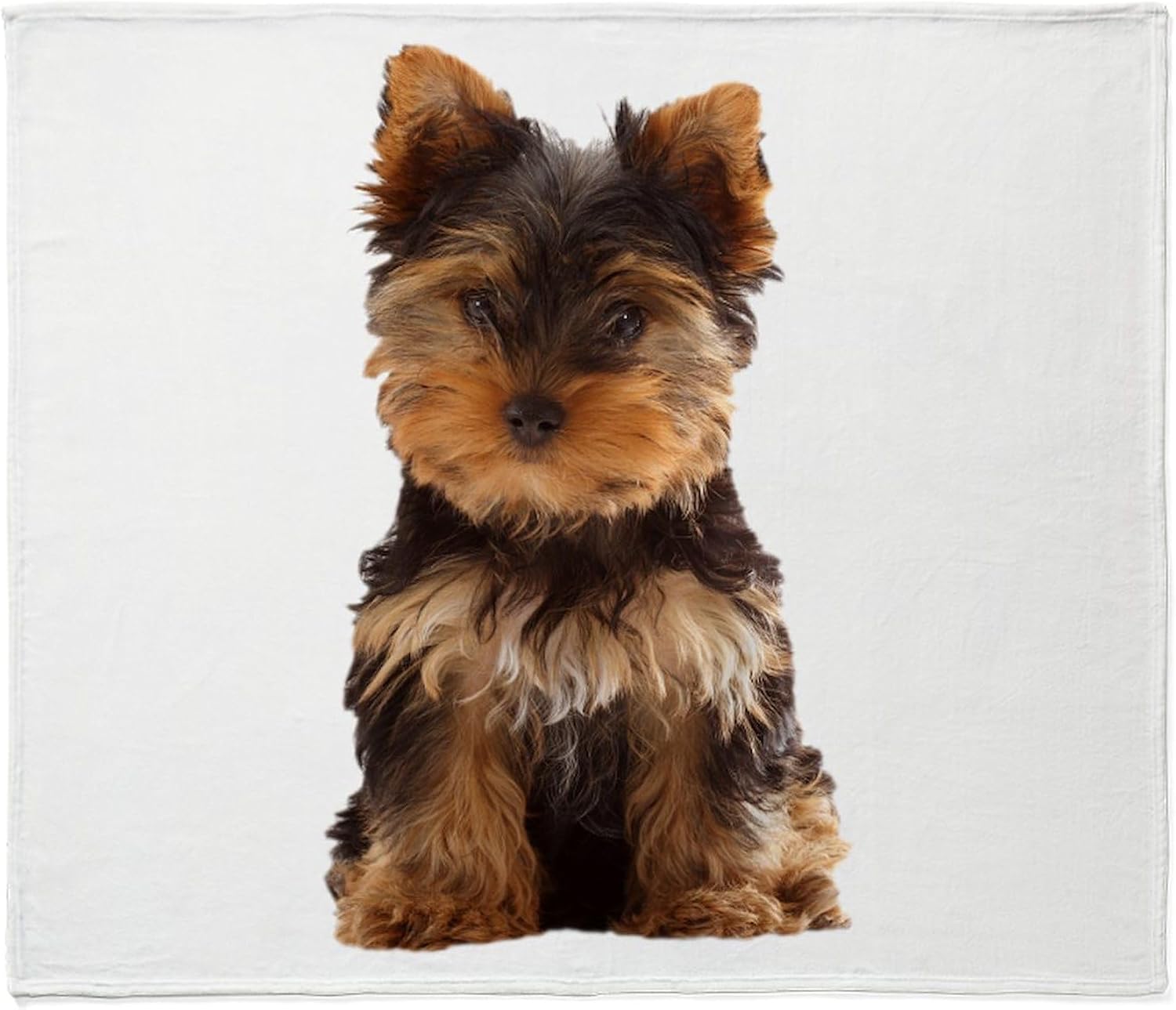 CafePress Yorkie Puppy Throw Blanket Super Soft Fleece Plush Throw Blanket, 60"x50"