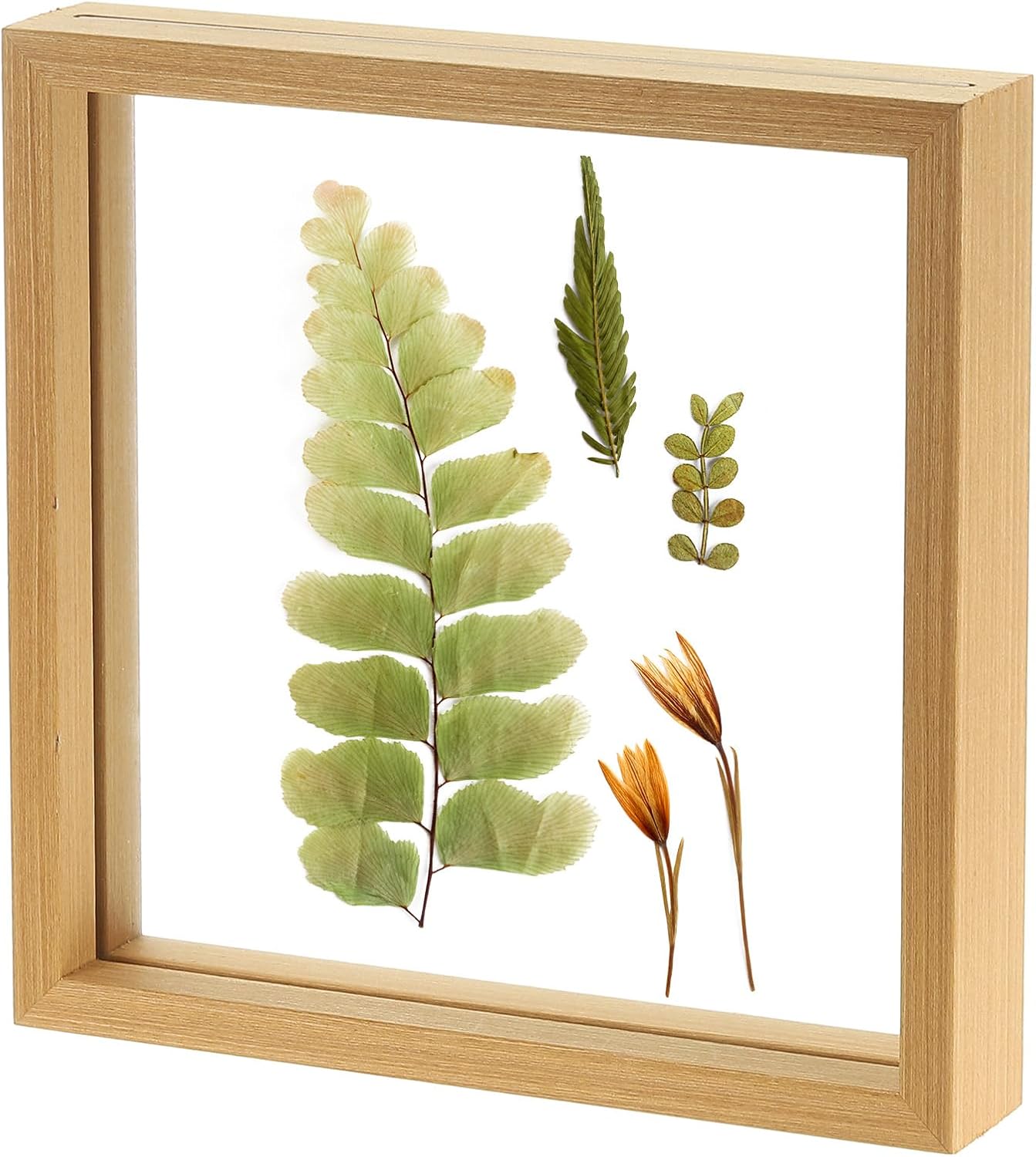 uxcell Wooden Pressed Flower Frame Handmade, 8x8 Inch Square Floating Picture Frame Double Glass Frame for Pressed Flowers Artwork Photo Frame Tabletop Display, Natural Wood