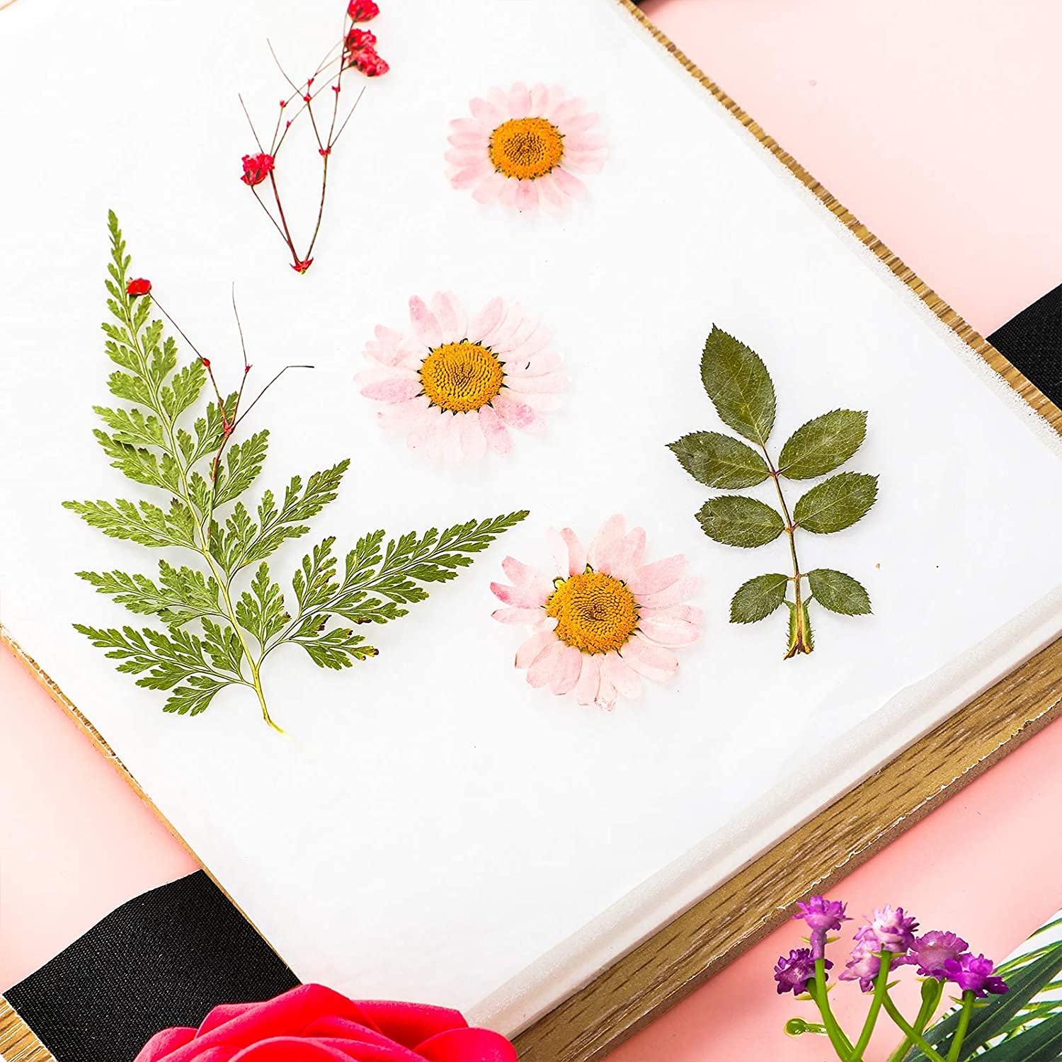 CENPEK Kit de prensa de flores de 6 capas de 6 x 8 pulgadas, juego de prensa de hojas para manualidades, flores prensadas secas, hojas, manualidades, joyería de resina
