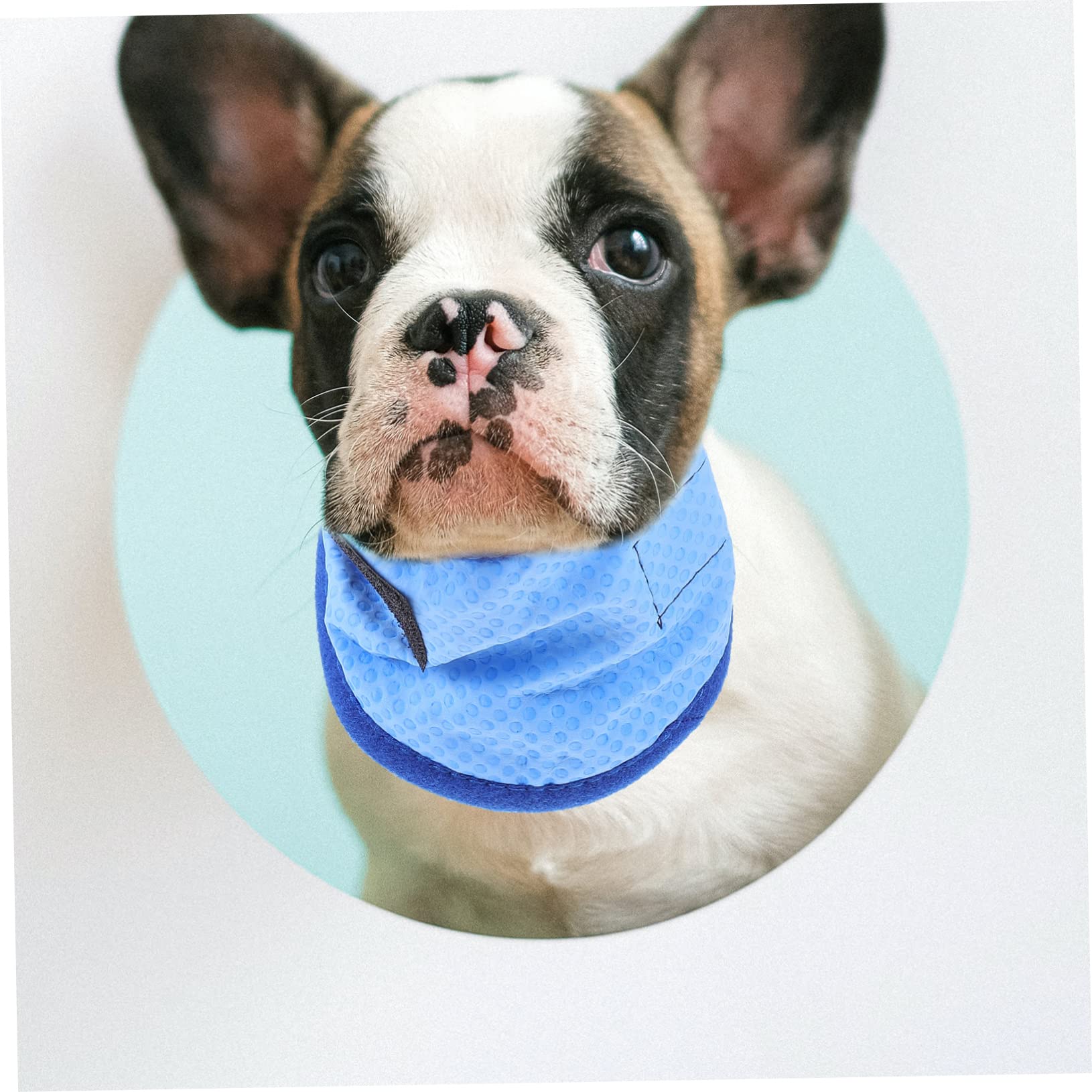 ABOOFAN Lot De 4 Bandanas Rafraîchissants pour Chiens Adorables À Usage Unique avec Écharpe Décorative pour Chat Incluse
