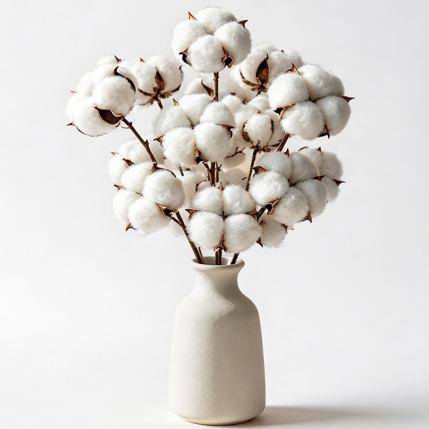 RAINFLOW Cotton Stem 10 PCS White Cotton Sprigs for Rustic Farmhouse Decor