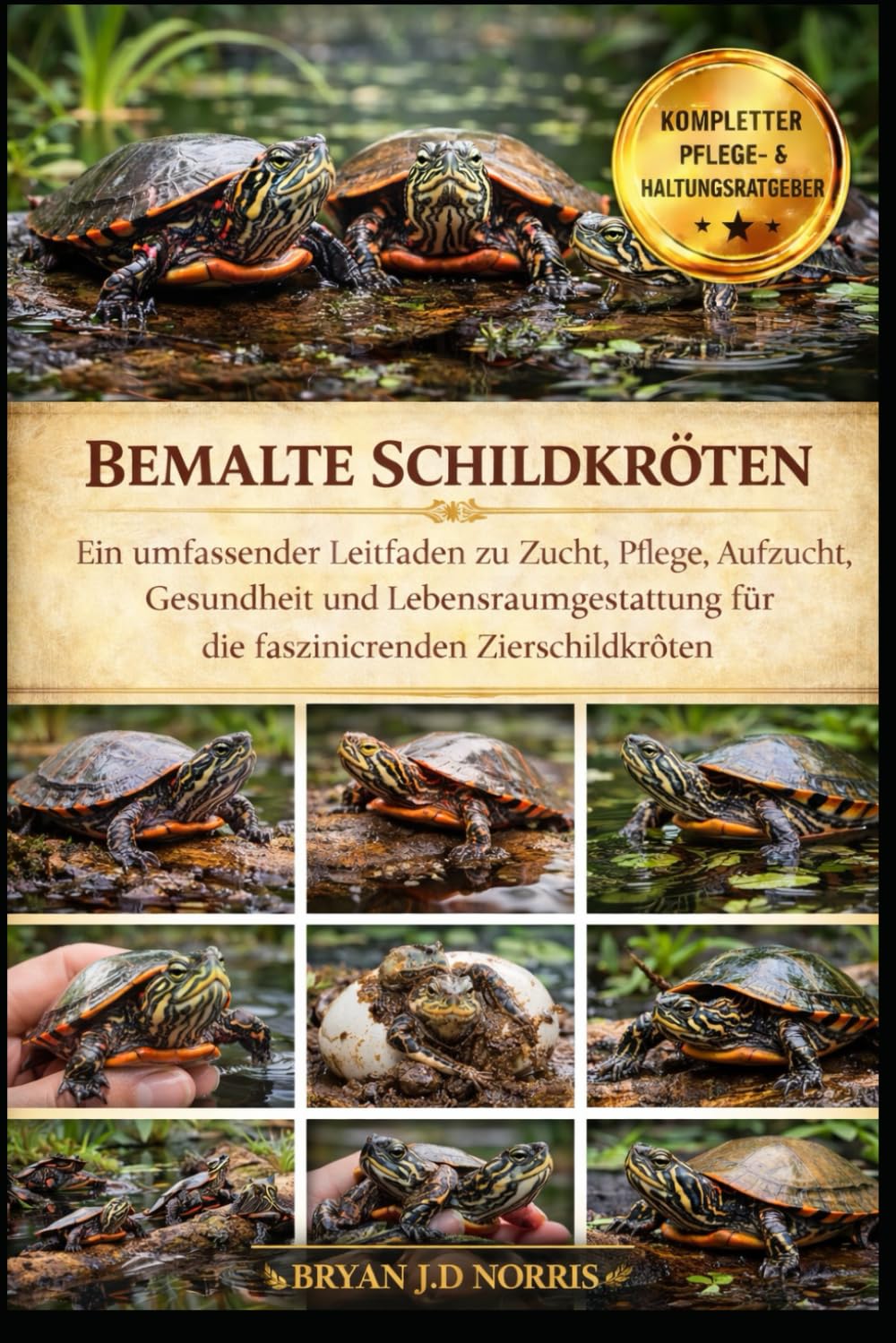 BEMALTE SCHILDKRÖTEN: Ein umfassender Leitfaden zu Zucht, Pflege, Aufzucht, Gesundheit und Lebensraumgestaltung für die faszinierenden Zierschildkröten