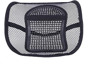 Ochine Lumbar Support with Breathable Mesh, Ergonomic Mesh Back Support for Car Home Office