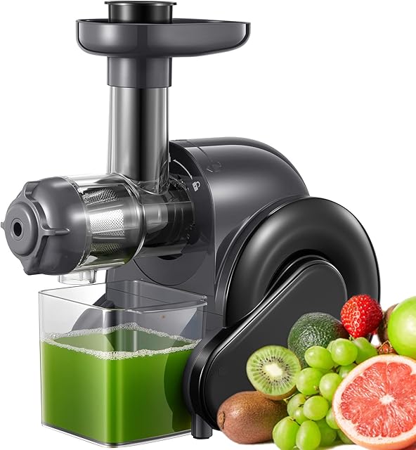 hhnn Juicer Machine, Slow Masticating Juicer with Quiet Motor, Reverse Function for Fresh Healthy Fruits and Vegetables Juice, Easy to Clean with Brush