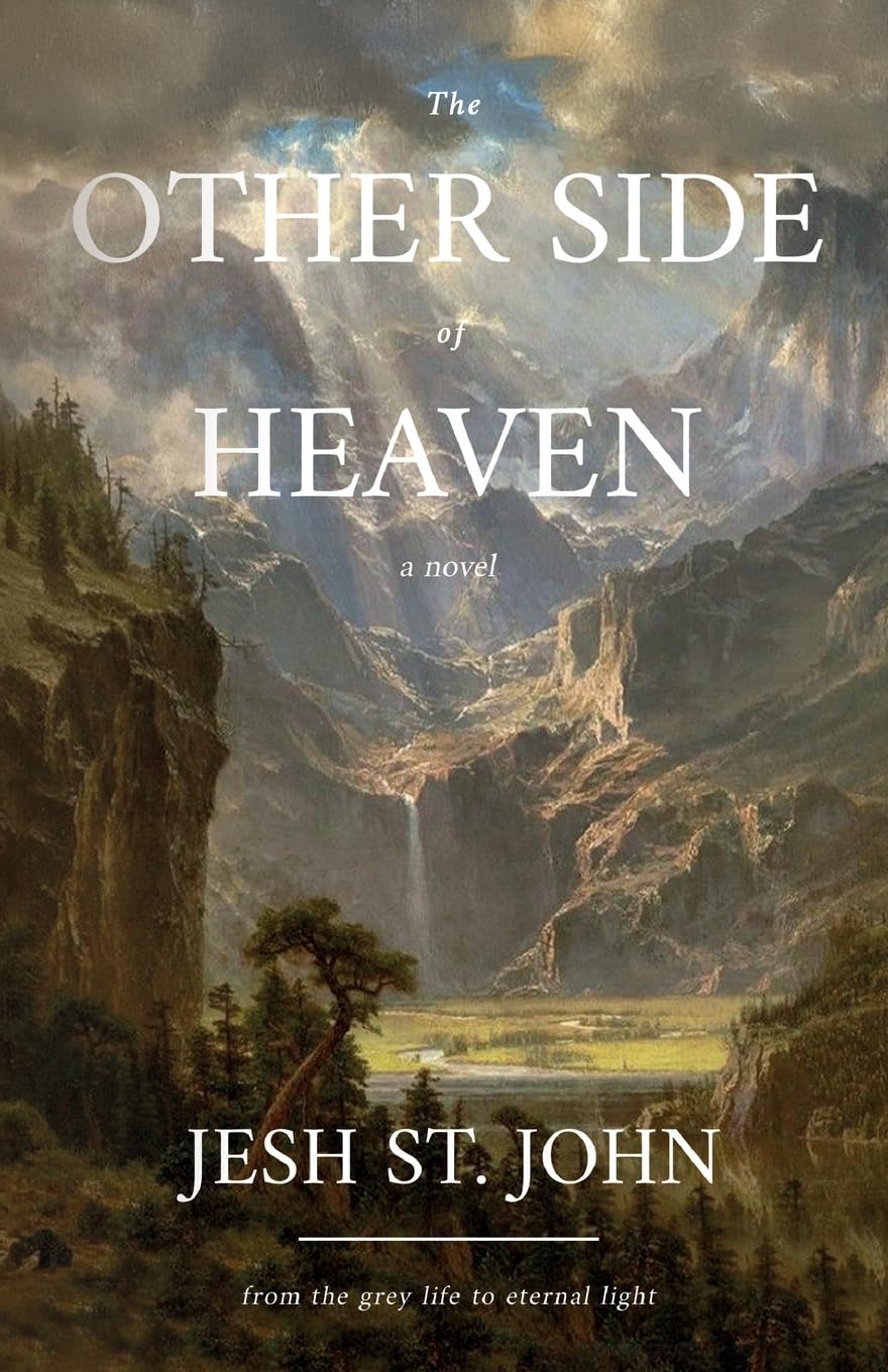 The Other Side of Heaven  A Novel : from the grey life to eternal light