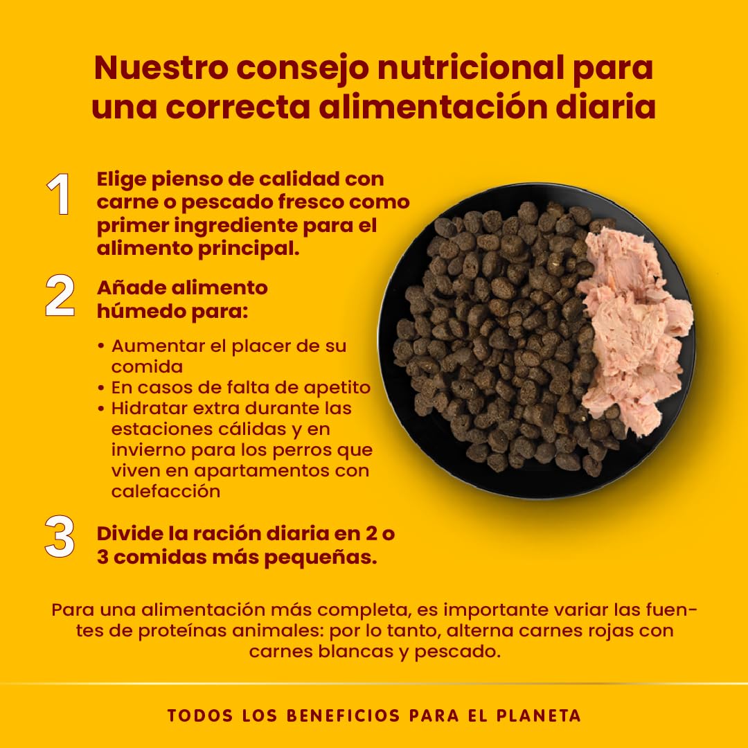 almo nature Comida Húmeda para Perros Natural de Pollo (12 latas x 280 g). Alimento para Perros Monoproteíco Enlatado HFC Cuisine. Snack Complementario sin Gluten.