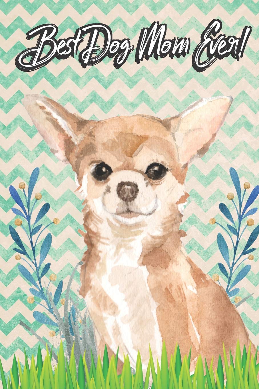 How Do I Find A Good Home For My Dog