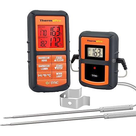 thermopro tp20 case
