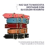 Ver la foto 6