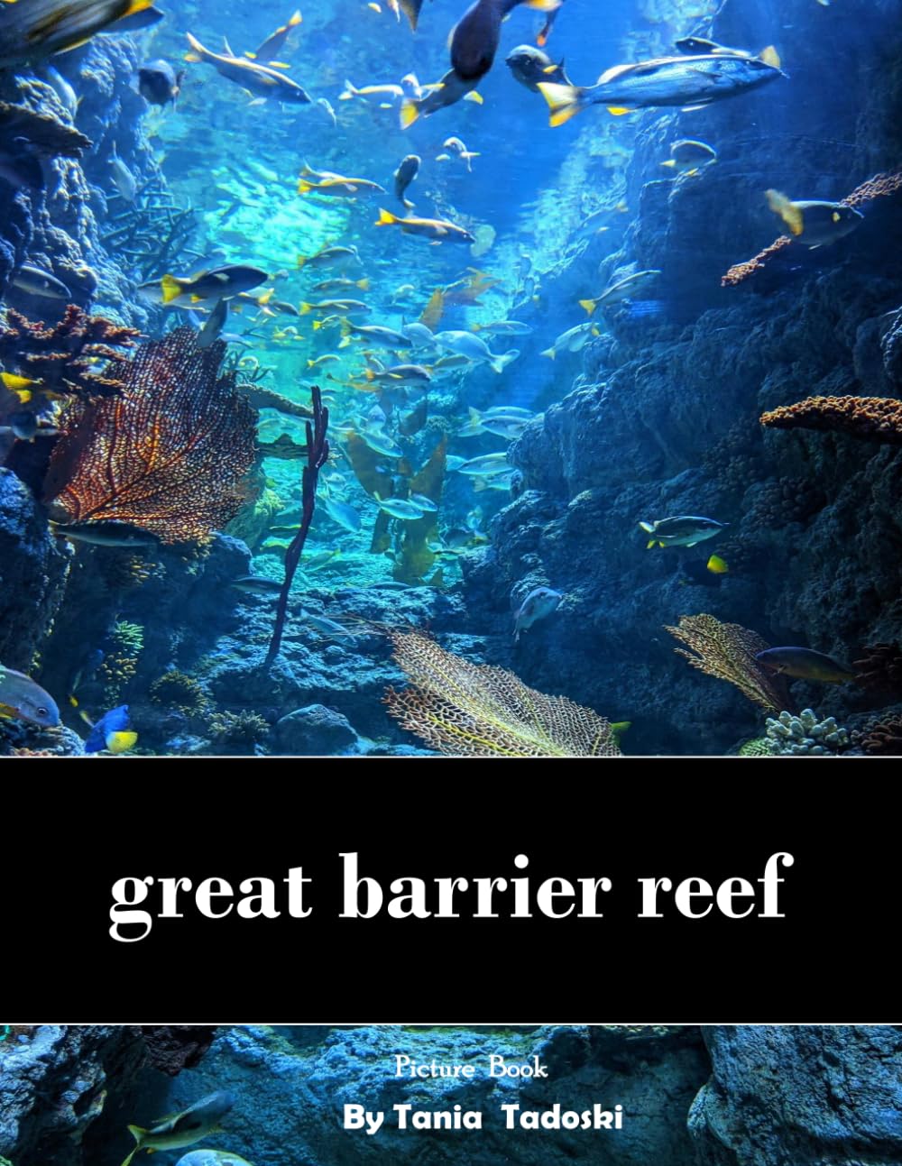 great barrier reef: Great Barrier Reef: Coral Reefs, Tropical Fish, Turtles, Snorkeling and More
