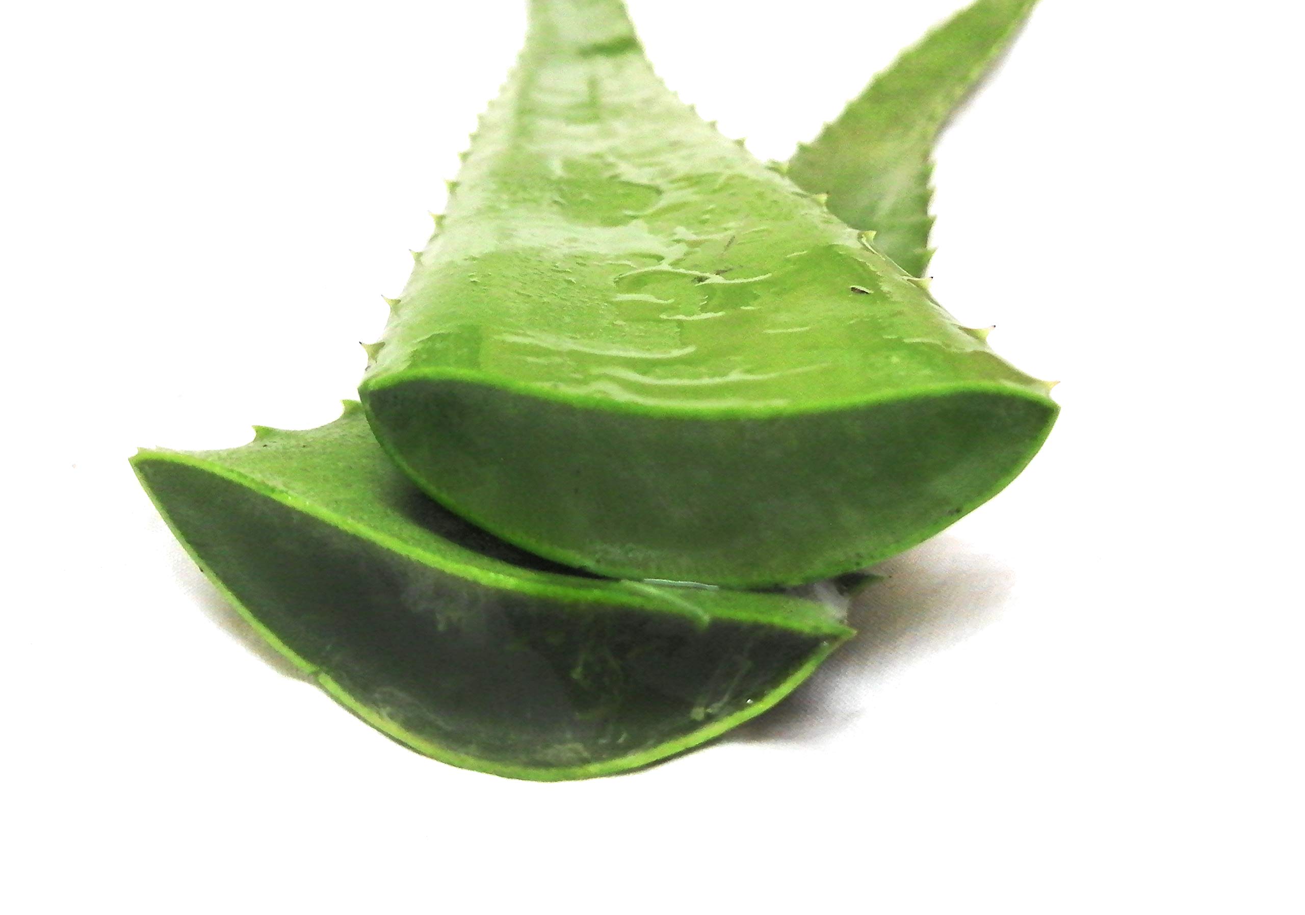 Nature and Organic Aloe Vera Fresh Leaves - 300 Grams, Gel (B07VMCFTJZ) Amazon Price History, Amazon Price Tracker