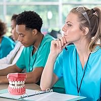 Vista 5 de Modelo dental Tamaño estándar para la práctica de cepillado y hilo dental - Dientes de silicona Typodont con encía visible, herramienta