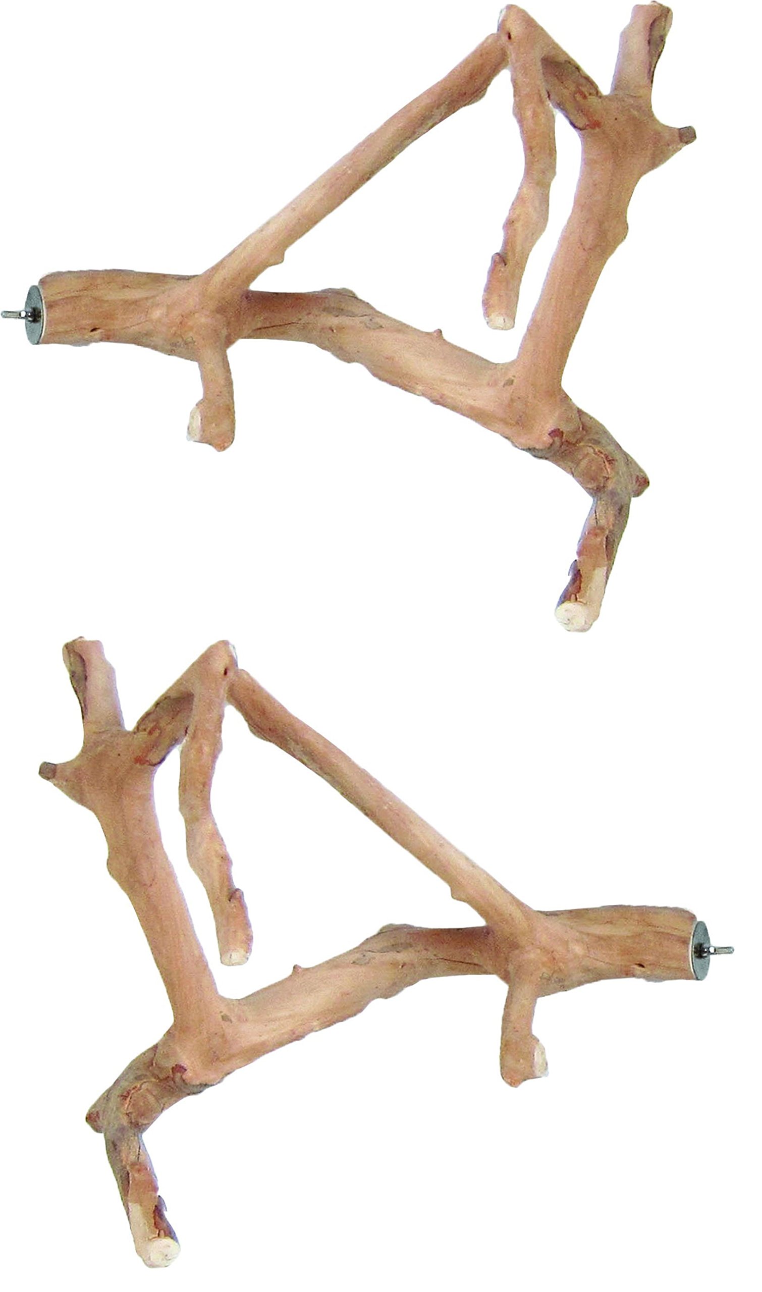 A&E CAGE COMPANY - Perchas para pájaros (Madera de Java, tamaño pequeño)