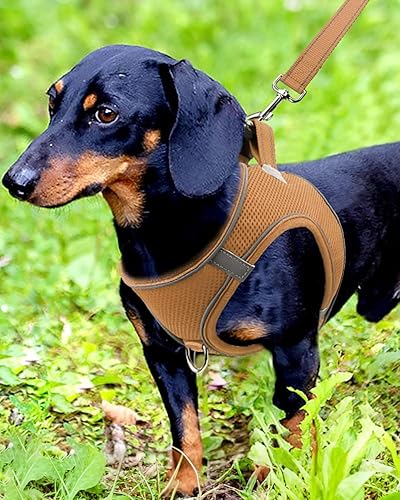 Miniatura 2 de Joytale arnés para perro, 12 colores, chaleco de malla transpirable, arnés acolchado suave reflectante para perros pequeños y medianos, marrón, M.