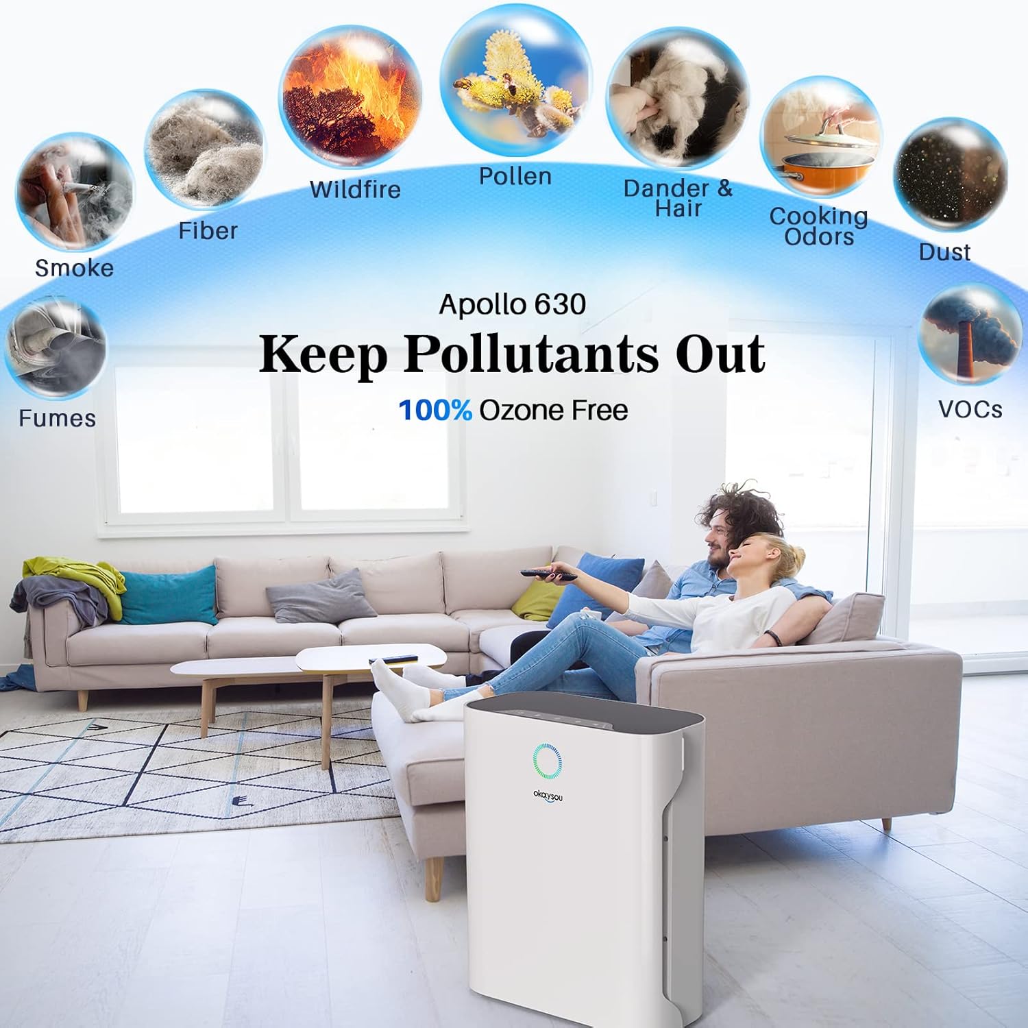Okaysou Apollo 630 removing pollutants