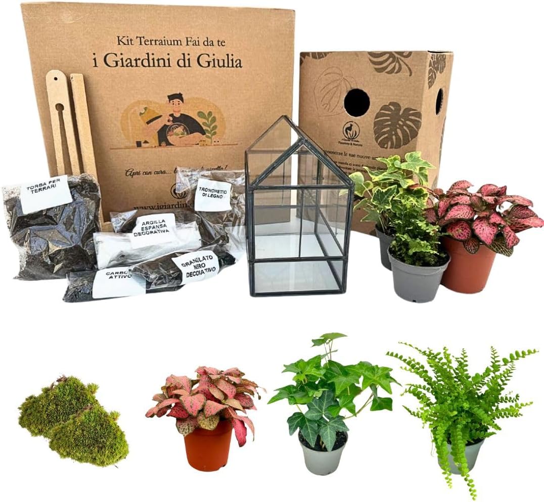 Marimo In Vaso Vetro Ø10cm - Pianta Acquatica Decorativa Per Acquari E Centrotavola - Foto 7