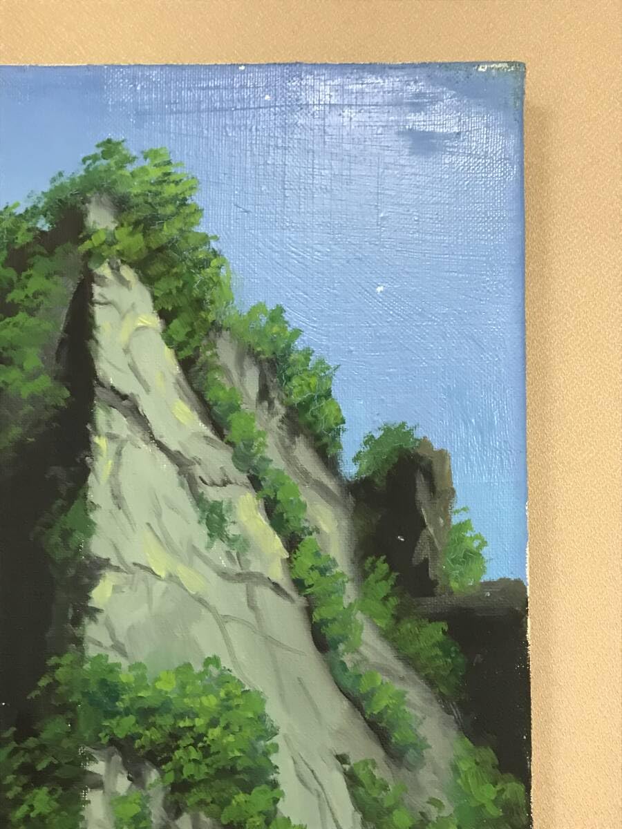 Amazon.co.jp: 肉筆油絵 鹿島肇 妙義山 10F : おもちゃ