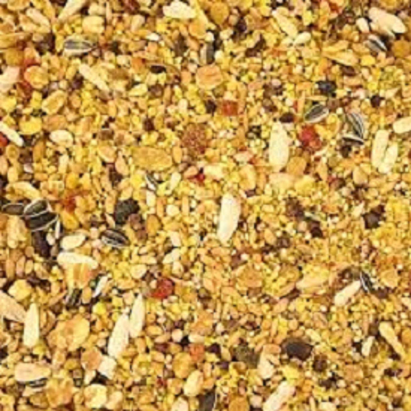 Buy HANU Bajri Bird Food 2KG Mix Seed for Budgies, Love Birds