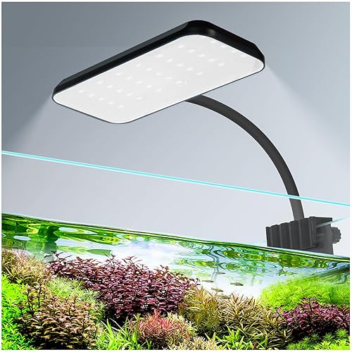 Miniatura 6 de Boxtech Luz LED para pecera, pequeña luz de clip para acuario, luz de abrazadera LED blanca de 8 W, luz plantada de espectro completo USB de 4.53